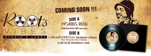 Mr Haze feat. Norris Reid & The Sons Of Africa - I Wanna Love Jah / Meditator's Skank - 12" Roots Vibes Production