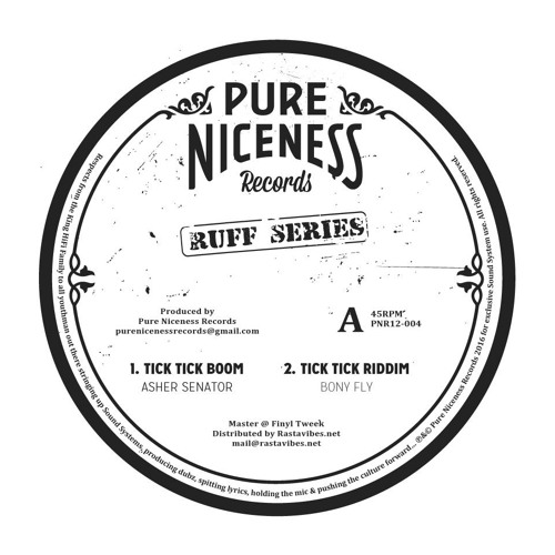 Bony Fly feat. Asher Senator - 12" Pure Niceness Records