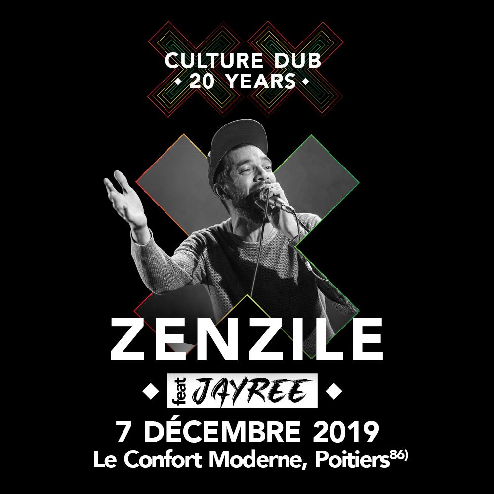 Zenzile Featuring Jayree Culture Dub 20 Years Le Confort