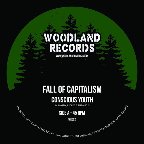 Conscious Youth - Fall Of Capitalism - 7" Woodland Records WR002